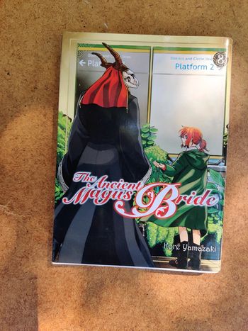Manga The ancient magus bride T08