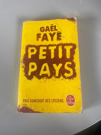 Petit pays