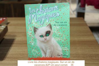 Livre les chatons magiques. Sur un air de vacances.