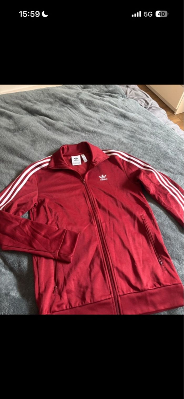 Veste adidas bordeaux