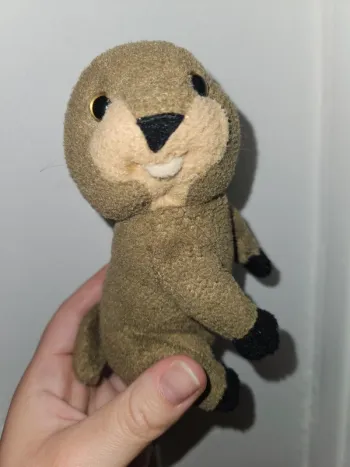 Peluche marmotte