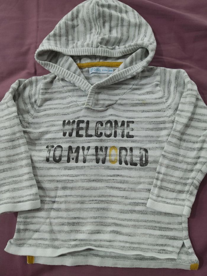 Pull a capuche 24 mois