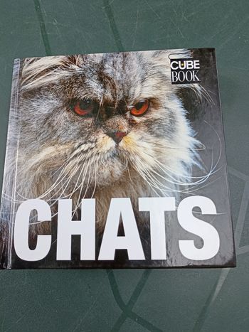 Chats