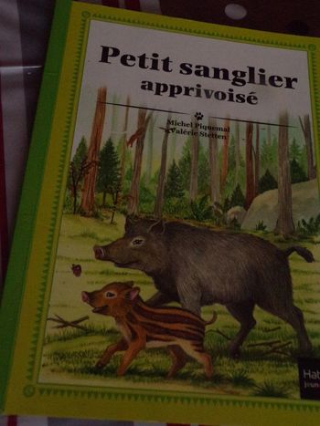 Livre Petit sanglier apprivoisé  Hatier 2013