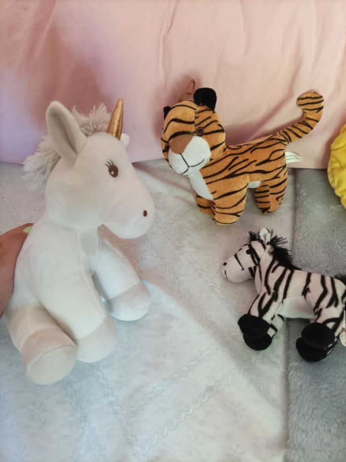 Peluches - photo numéro 3