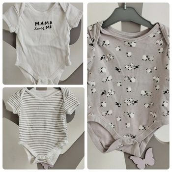 Lot 3 bodies manches courtes taille 6 mois