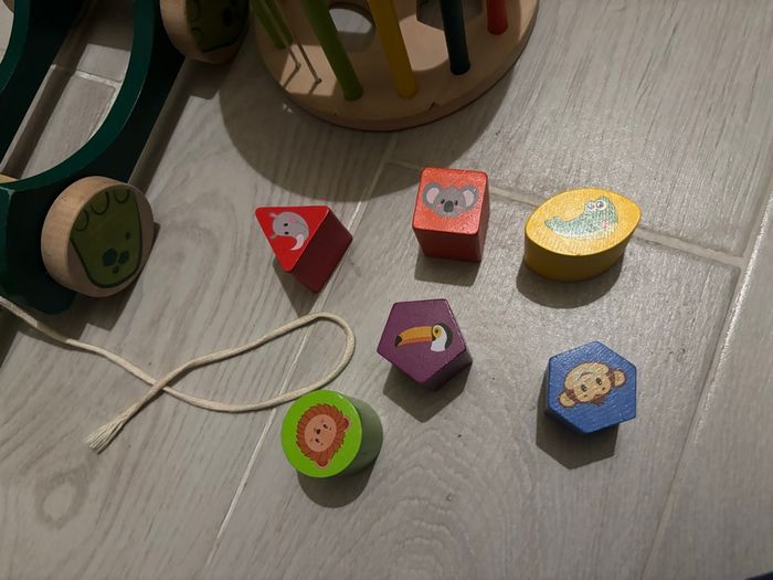 Tortue - photo numéro 5