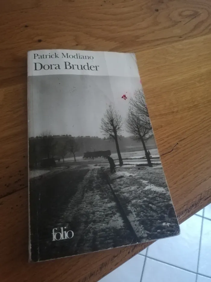 Dora Bruder _ modiano