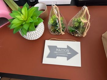 Lot de 4 déco plantes + affiche