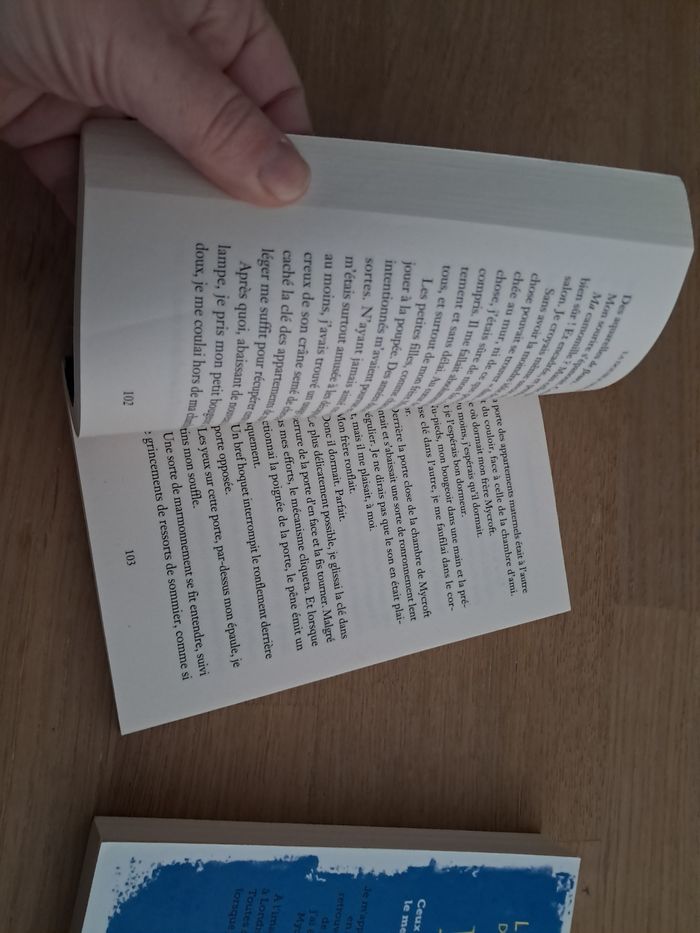 Lot de 2 livres - les enquêtes d’Enola Holmes  de Nancy Springer - photo numéro 3