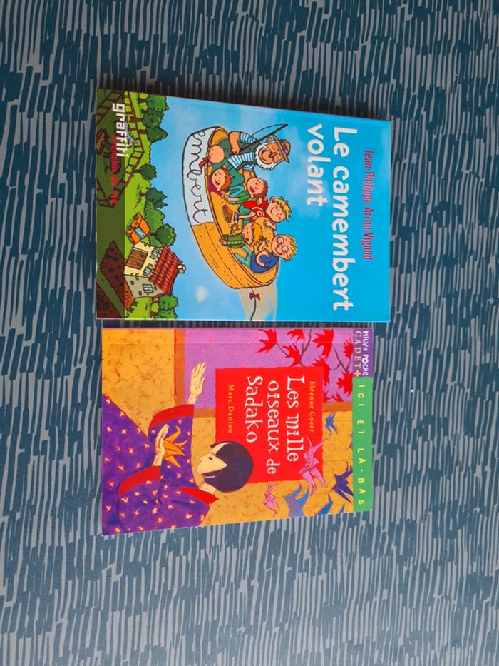 Petits romans jeunesse