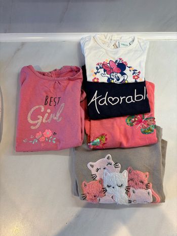 Lot 12/18 mois fille