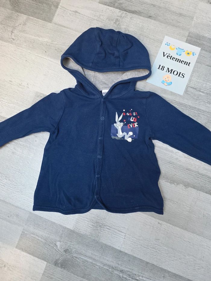 Veste avec capuche garcon 18 mois