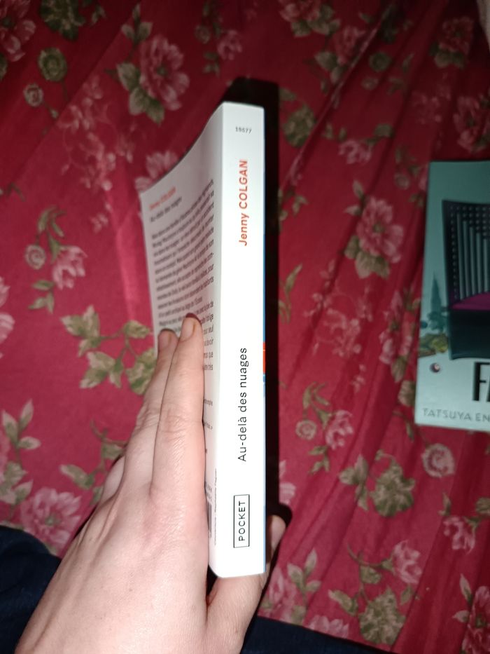 Au delà des nuages - photo numéro 2