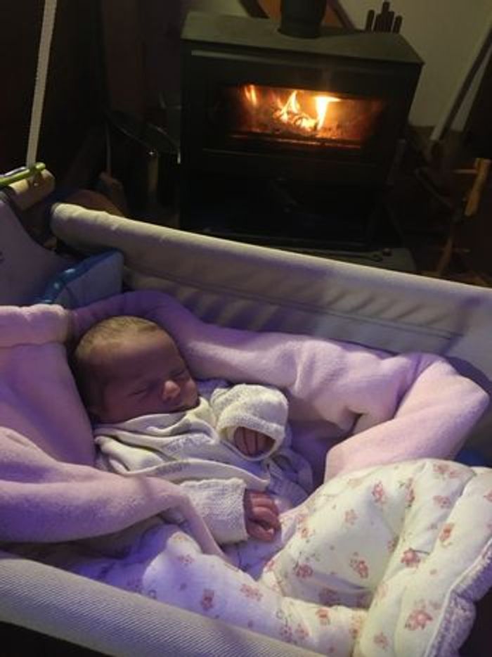 Zebul Hamac pour bébé - photo numéro 4