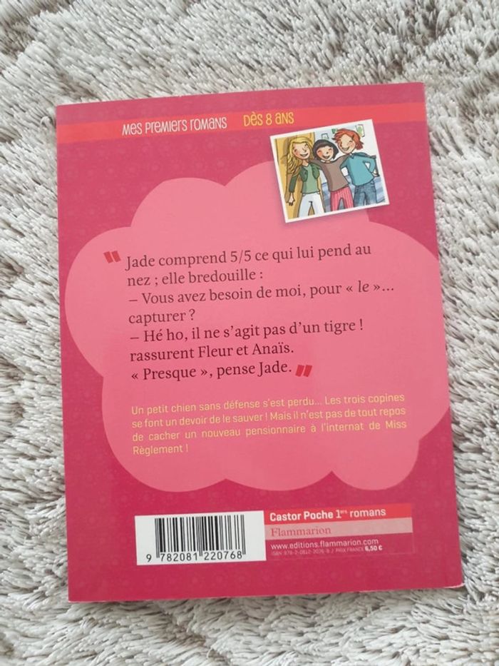 Livre Les 3 copines n°5 - drôle de pensionnaire - photo numéro 2