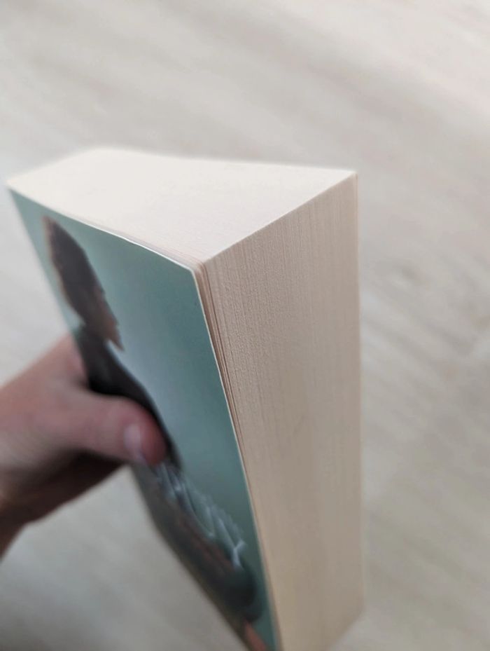 La demoiselle des Bories - Marie Bernadette Dupuy - photo numéro 5