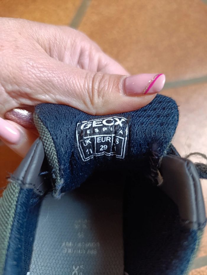 Basket geox - photo numéro 5