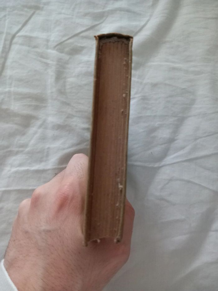 Reine en sabots - photo numéro 4