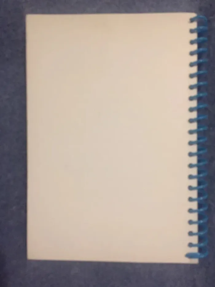 Carnet Ratatouille - photo numéro 2