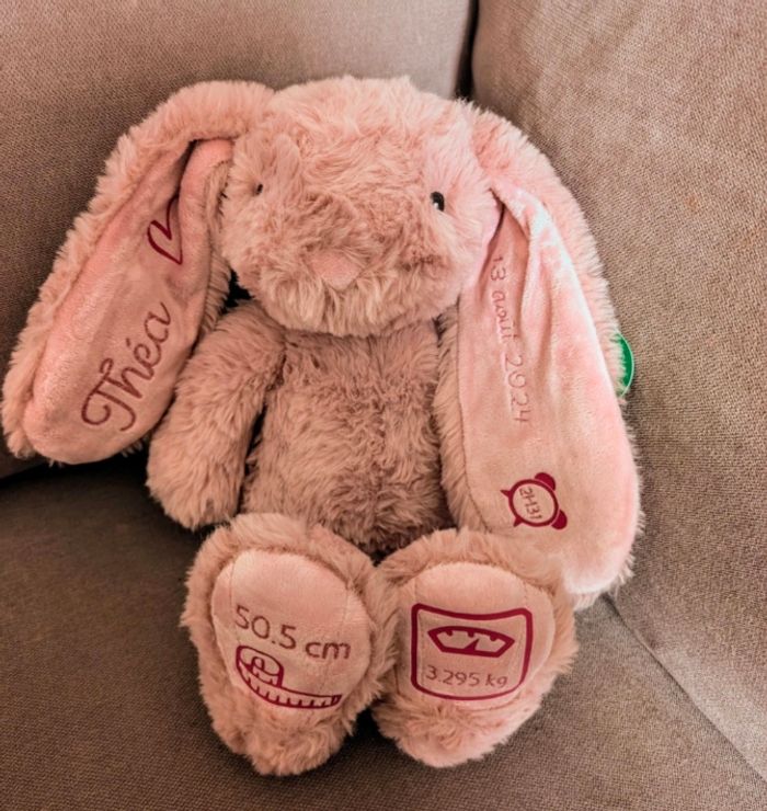 Lapin personnalisé - photo numéro 4