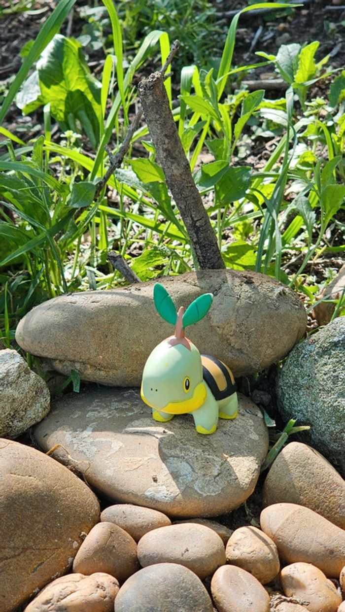 Super figurine Pokemon Nintendo tortipouss