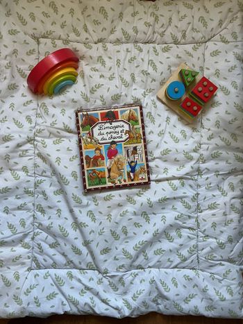 livre l'imagerie du poney et du cheval éditions fleurus