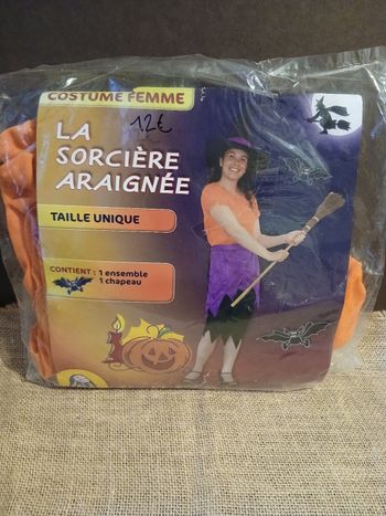 Déguisement la sorcière araignée