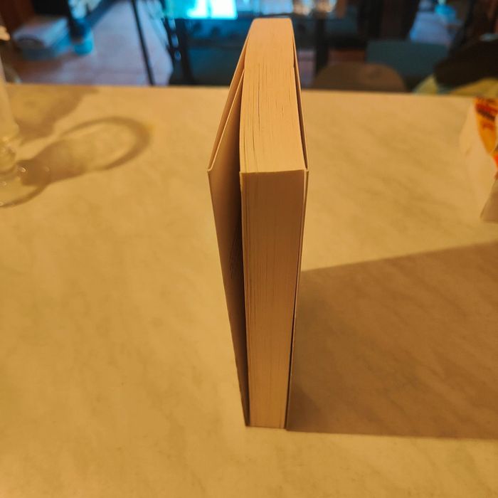 2084 La fin du monde de Boualem Sansal - photo numéro 4