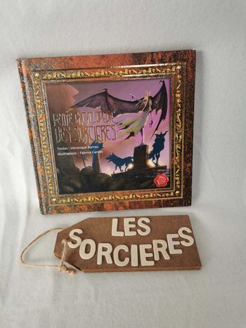 Livre 📙 petite  encyclopédie  des  sorcières