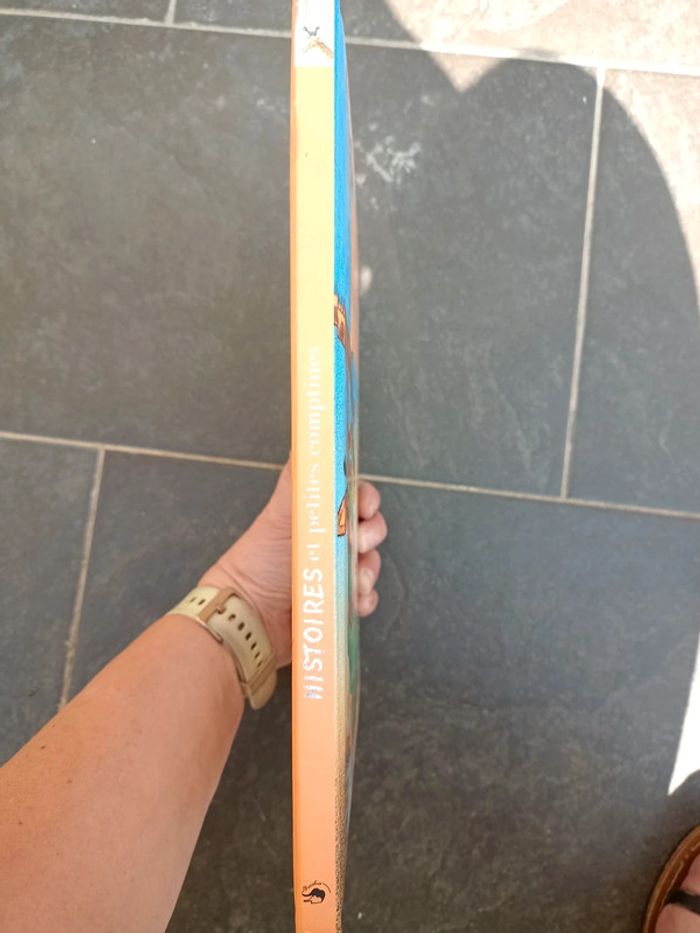 Livre histoires et petites comptines 🔂 - photo numéro 4