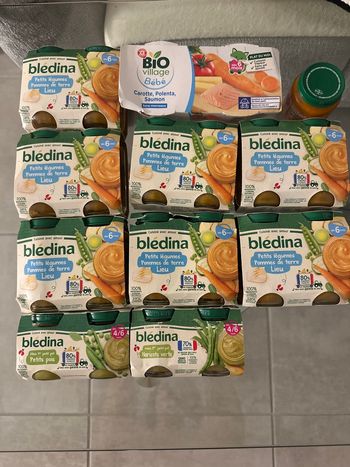 Repas bébé bledina 