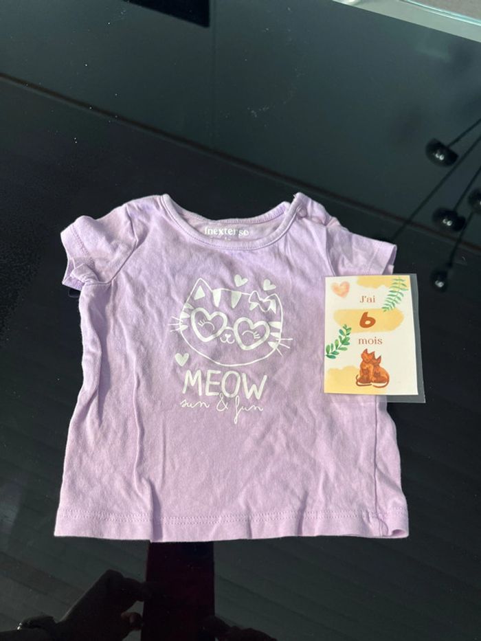 Tee shirt manches courtes