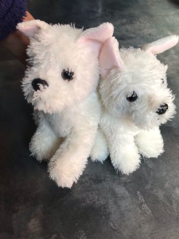 2 chiens blanc idée cadeau jumeaux