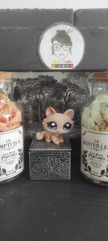 Littlest Petshop Pet Shop LPS Authentic  Authentique cat Sphinx 1444 Crouching