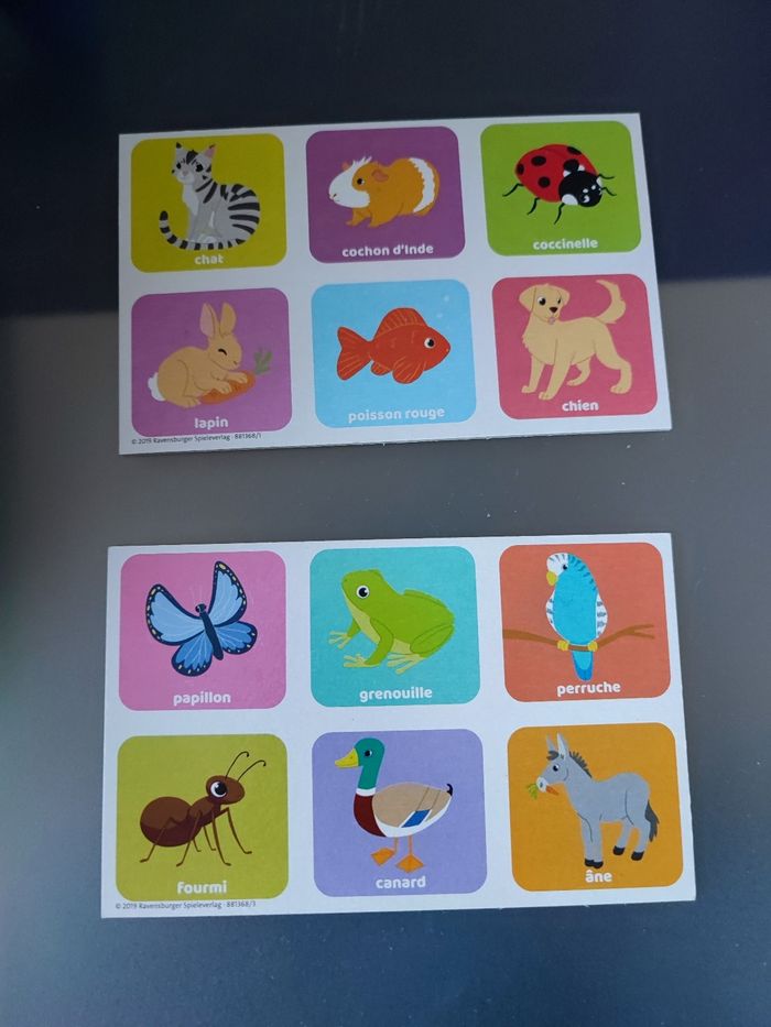 loto animaux familiers - photo numéro 3
