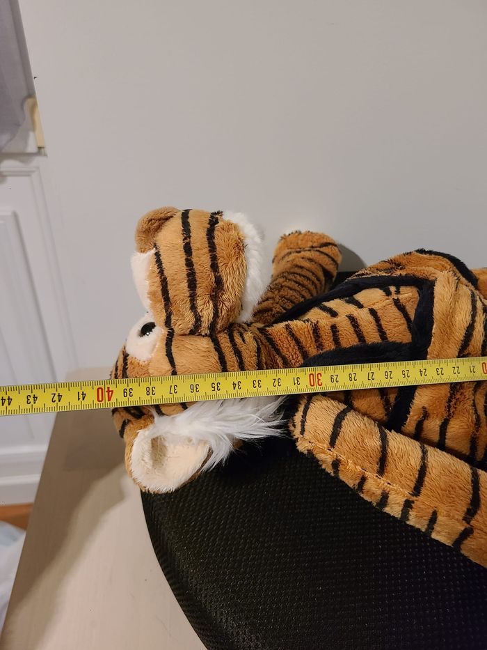 tigre - photo numéro 7