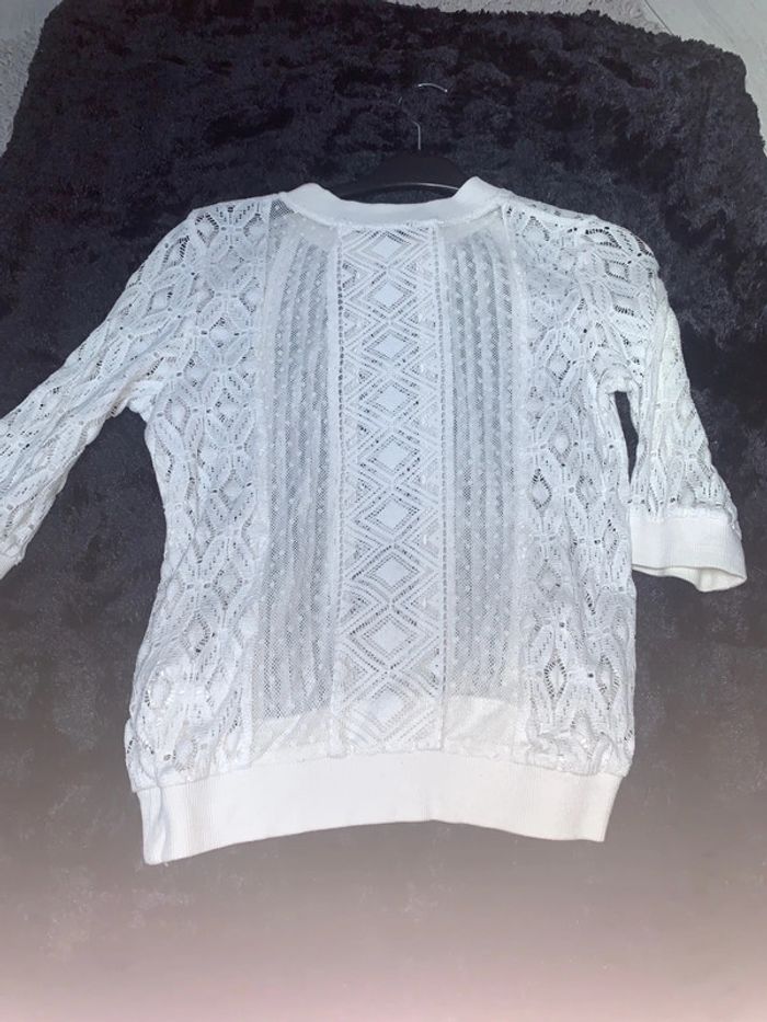 Pull transparent - photo numéro 3
