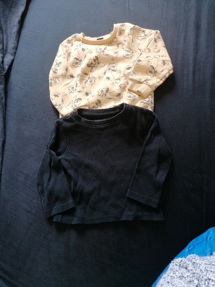 1 pull + 1 t-shirt manches longues
