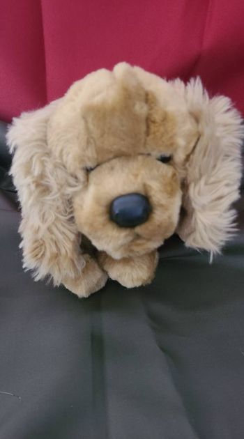 peluche cocker CMP