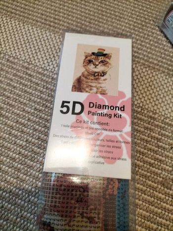 🎨Diamond Painting - Chat Clown 🎨