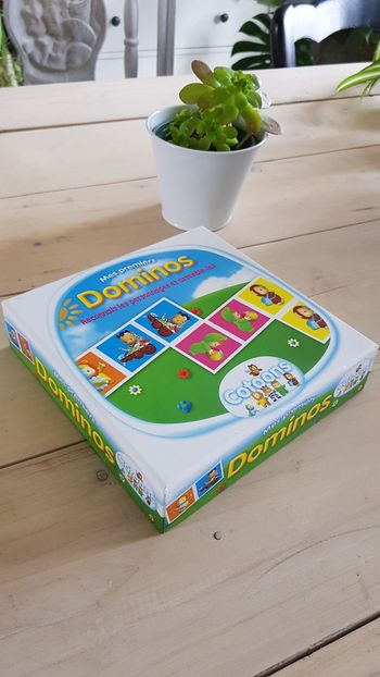 Dominos 1er âge