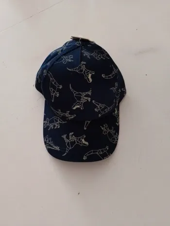 Casquette dinosaure