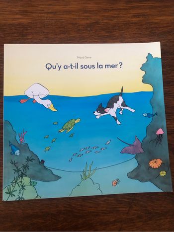Qu’y a-t-il sous la mer ?