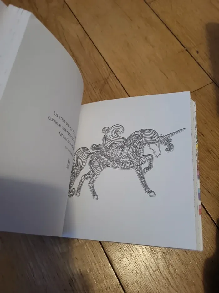 Petit livre à colorier licornes - photo numéro 4
