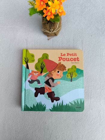 Livre Le Petit Poucet Milan
