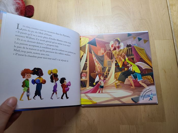 Le pic du midi d'Ossau - photo numéro 4