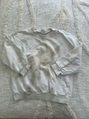 Sweat garçon 4/5 ans beige Zara