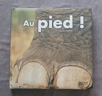 Au pied ! Stéphane Frattini