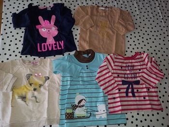 Lot de 5 pulls fille 12 mois
